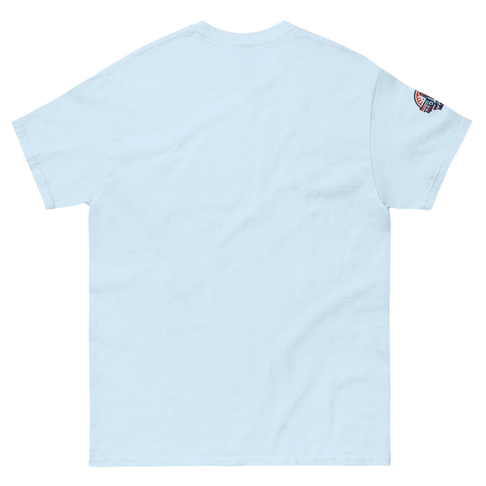 Light blue Freedom Fighter Eagle Tee (rear view)