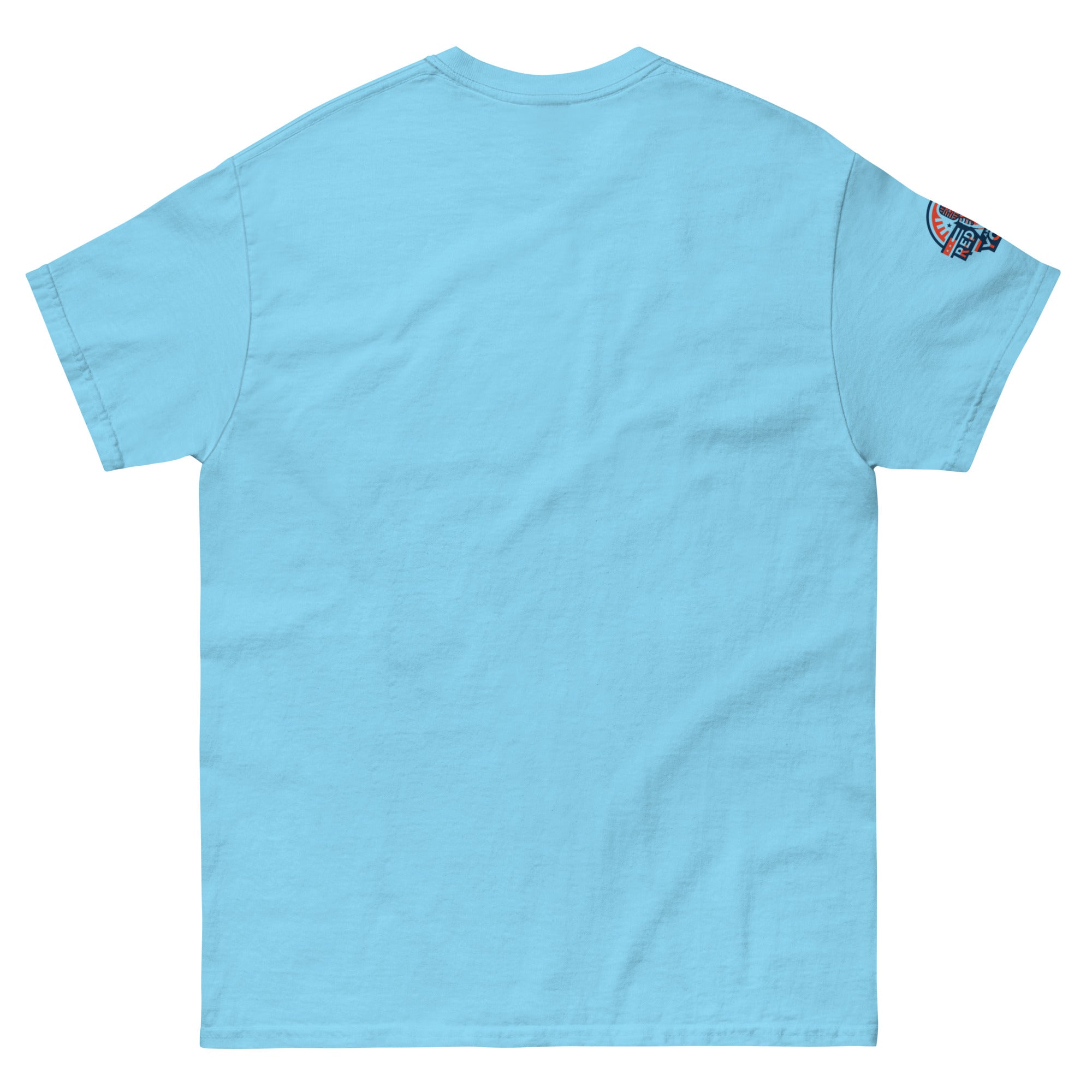 Light blue Drain The Swamp Trump MAGA rally t-shirt (rear view)